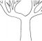 Joyeux Coloriage Arbre Sans Feuille Photos Idee De Coloriage