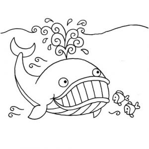 13 Nice Coloriage Baleine Stock Idee De Coloriage