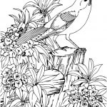 Coloriage Animaux Inspiration Coloriage Animaux Marins