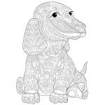 Coloriage Chien Nice Chien Teckel Dogs Adult Coloring Pages