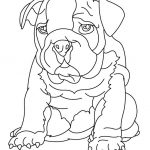 Coloriage De Chien Élégant Cute Puppy Bulldogs Coloring Pages Printable Coloring Pages
