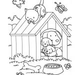 Coloriage De Chien Luxe Dog Cat Bird Animal Coloring Pages For Kids To Print