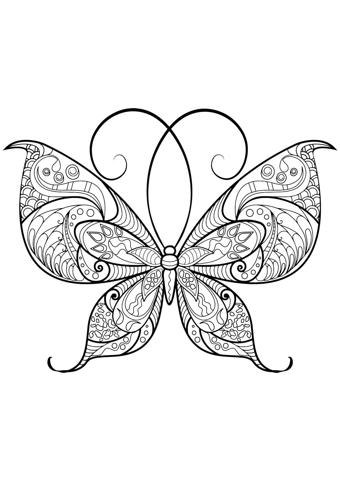 Coloriage De Papillon Frais Dessin De Papillons Gratuit à Télécharger Et Colorier