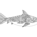 Coloriage De Requin Unique Dessin Pour Adulte Antistress Requin à Imprimer