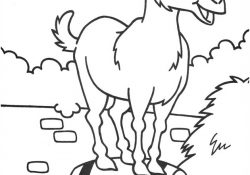 Coloriage Enfant À Imprimer Génial Coloriage De Divers Animaux Sur Coloriages Enfants