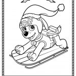 Coloriage Patte Patrouille Luxe Paw Patrol Winter Rescues Plus A Paw Patrol Coloring Page