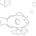 Coloriage Poisson Élégant Catfish Step By Step And Step By Step Drawing On Pinterest