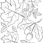 Coloriage Automne Luxe Coloriage Automne Feuilles And Acorns Fall Jecolorie
