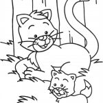 Coloriage Chats Luxe Dessin Chaton A Imprimer