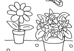 Coloriage De Fleurs À Imprimer Élégant Coloriage à Imprimer Pots De Fleurs Et Papillons