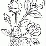Coloriage De Fleurs À Imprimer Élégant Imprime Le Dessin à Colorier De Fleur