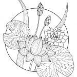 Coloriage De Fleurs À Imprimer Nouveau Coloriage Magnifique Fleurs Lotus Dessin