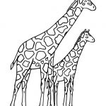 Coloriage Girafe Meilleur De Girafe Imprimer Le Coloriage De Girafe