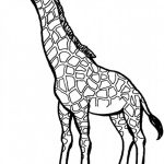 Coloriage Girafe Meilleur De Giraffe Picture Coloring Page Netart