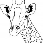 Coloriage Girafe Unique Coloriage Girafe Dessin à Imprimer Sur Coloriages Fo
