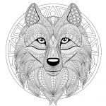 Coloriage Mandala Gratuit Frais Plex Mandala Coloring Page with Plex Wolf Head 2
