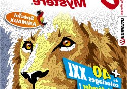 Coloriage Mystere Nouveau Des Animaux Mystères à Colorier En format Xxl