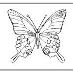 Coloriage Papillon Frais Butterfly Coloring Page
