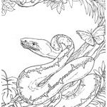 Coloriage Serpent Inspiration Coloriage Serpent Sur Top Coloriages Coloriages Serpent