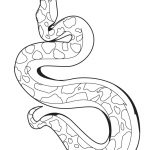 Coloriage Serpent Unique Coloriage à Dessiner Serpent à Imprimer