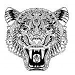 Coloriage Tigre Inspiration Tigre