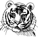Coloriage Tigre Meilleur De Dessin à Colorier Masque Tigre