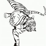 Coloriage Tigre Nouveau Coloriage Tigre
