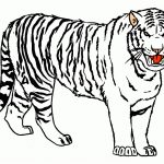 Coloriage Tigre Unique Coloriage De Tigre Sur Ordinateur