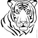 Coloriage Tigre Unique Impressionnant Image De Tigre Pour Coloriage