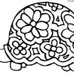 Coloriage Tortue Génial Coloriage Tortues Dessin Tortues Tortues Coloriage N°4696