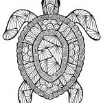 Coloriage Tortue Luxe Incroyable Tortue Coloriage De Tortues Coloriages Pour