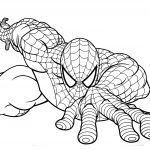 Coloriage À Imprimer Spiderman Élégant Spiderman Gratuit 10 Coloriage Spiderman Coloriages