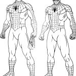 Coloriage À Imprimer Spiderman Luxe Coloriage Spiderman Peter Parker à Imprimer Sur Coloriages