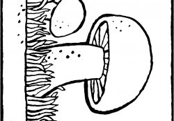 Coloriage Champignon Élégant Champignon Kiddicoloriage