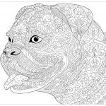 Coloriage Chien À Imprimer Nice Dog French Bulldog Dogs Adult Coloring Pages