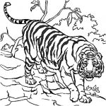 Coloriage De Tigre Génial Tigre Coloriage Tigre En Ligne Gratuit A Imprimer Sur