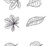 Coloriage Feuille Luxe Leaf Coloring Pages Coloringpages1001