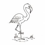 Coloriage Flamant Rose Luxe Coloriage Flamand Rose