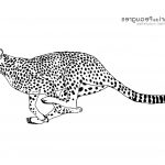 Coloriage Guepard Élégant Coloriez Les Animaux Du Safari De Peaugres