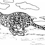 Coloriage Guepard Nice Get This Cheetah Coloring Pages Printable 7nv41