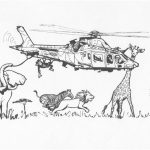 Coloriage Helicoptere Nice Coloriage Helicoptere Militaire A Imprimer