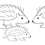 Coloriage Herisson Nice Nazo The Hedgehog Coloring Pages Coloring Pages