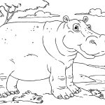 Coloriage Hippopotame Génial Happy Hippo Coloring Page