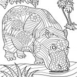 Coloriage Hippopotame Unique 136 Best Coloring Hippo Rhino Images On Pinterest