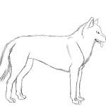Coloriage Husky Frais Siberian Husky Coloring Pages Coloring Home