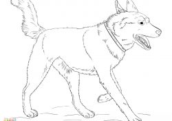 Coloriage Husky Luxe Greyhound Coloring Page at Getcolorings