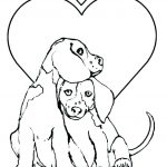 Coloriage Husky Nice Baby Husky Coloring Pages At Getcolorings