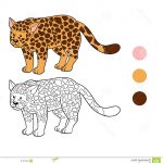 Coloriage Jaguar Frais Livre De Coloriage Jaguar Illustration De Vecteur