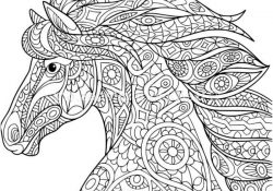 Coloriage Mandala Cheval Nice Free Downloads Zentangle Horse Head Coloring Pages