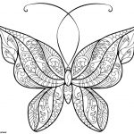 Coloriage Papillon À Imprimer Nice Coloriage Papillon Adulte Jolis Motifs 14 Dessin